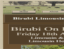 Tablet Screenshot of birubi.net